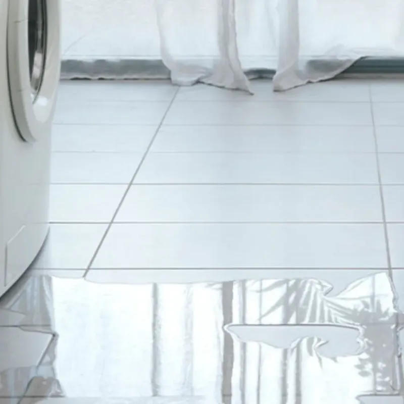 Appliance Leak Cleanup in Macon County, NC